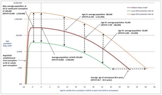 Human ovarian reserve from conception to the menopause. From Wallace & Kelsey. PLoS One. 2010.