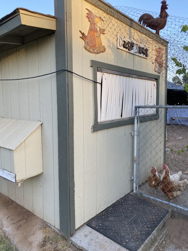 An elaborate coop, called the Cackle Shack, with a few of its feathered denizens