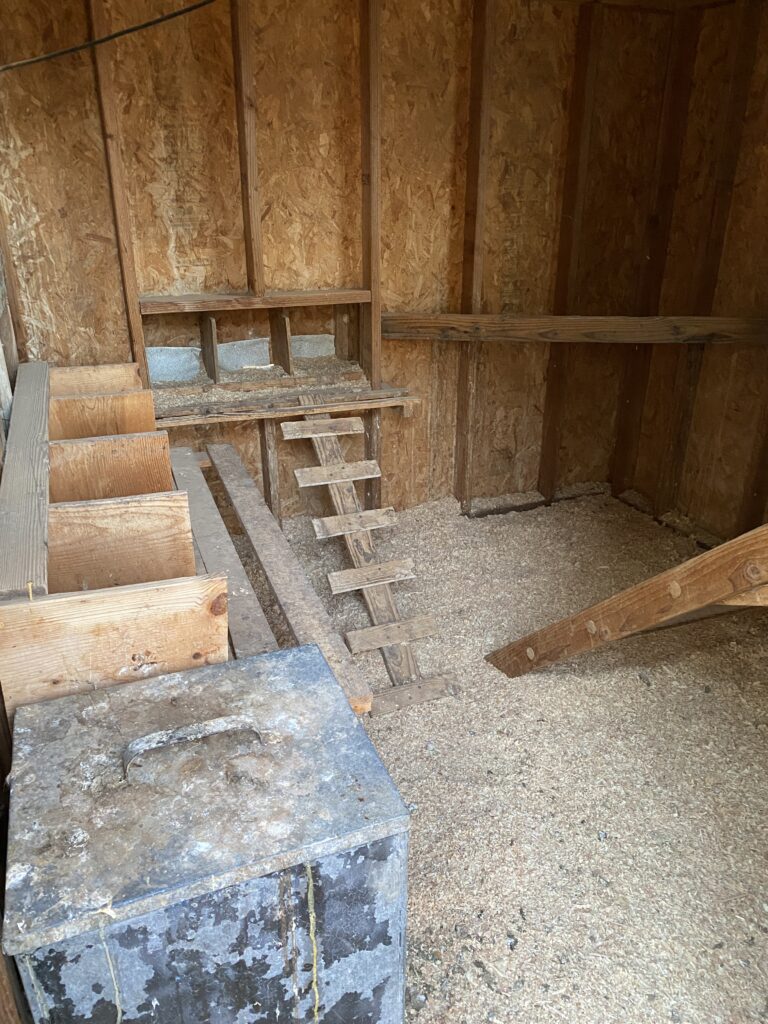 The inside of a chicken coop with laying boxes